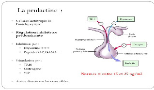 le retard des règles et les troubles menstruels