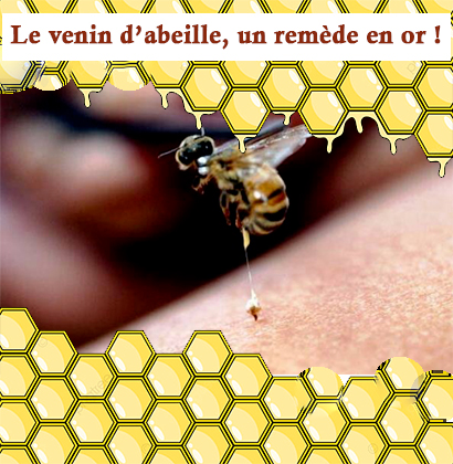 Le venin d’abeille, un remède en or ! Le venin d’abeille, un remède en or !