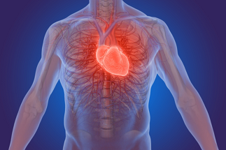 Les 6 symptômes d'une crise cardiaque