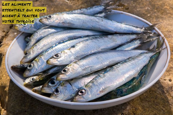Les sardines Les aliments essentiels qui vous aident à traiter votre thyroïde
