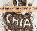 Pourquoi considère-t-on ces petites graines comme un « super-aliment » ? Et, surtout, de quelles manières vont-elles améliorer votre santé ? Découvrez les bienfaits des graines de chia.  