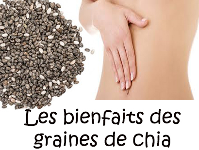 Les bienfaits des graines de chia