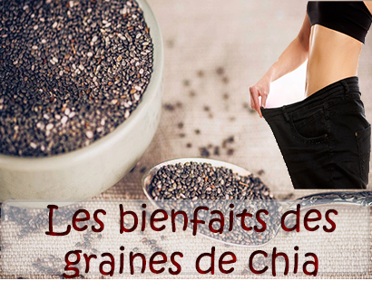Les bienfaits des graines de chia