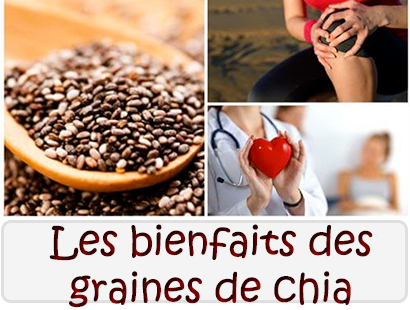 Les bienfaits des graines de chia