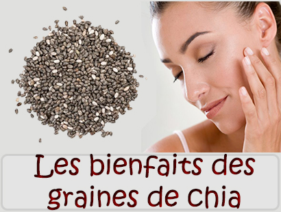 Les bienfaits des graines de chia