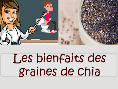 Les bienfaits des graines de chia