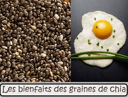 Les bienfaits des graines de chia
