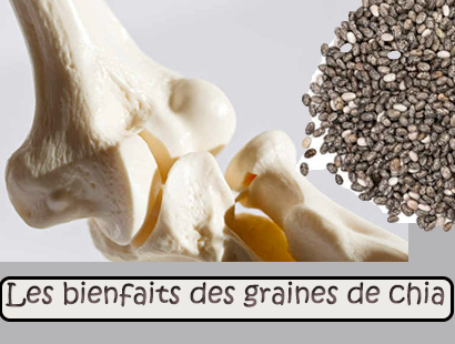 Les bienfaits des graines de chia