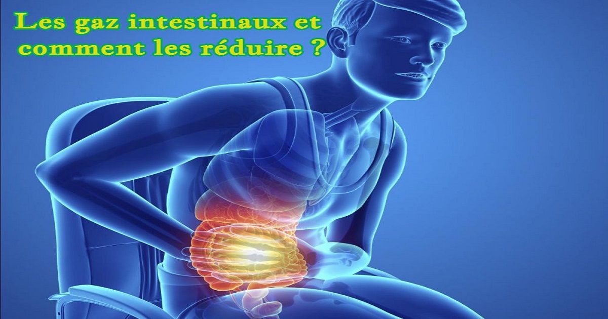 Les gaz intestinaux et comment les réduire — free download