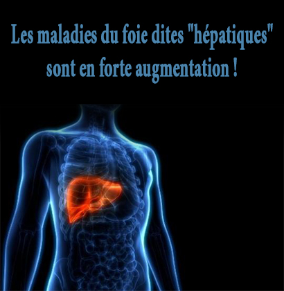 Les maladies du foie dites Les maladies du foie dites "hépatiques" sont en forte augmentation !