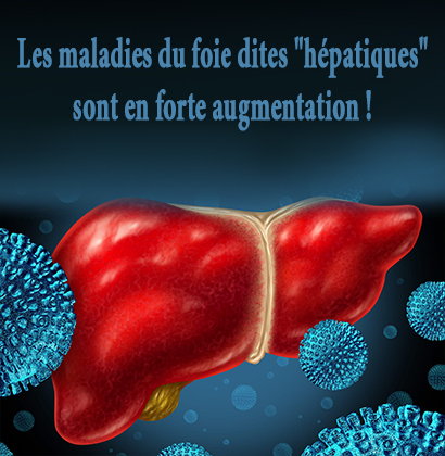 Les maladies du foie dites Les maladies du foie dites "hépatiques" sont en forte augmentation !