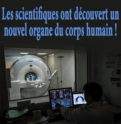 Les scientifiques ont découvert un nouvel organe du corps humain !