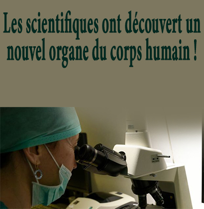 Les scientifiques ont découvert un nouvel organe du corps humain !