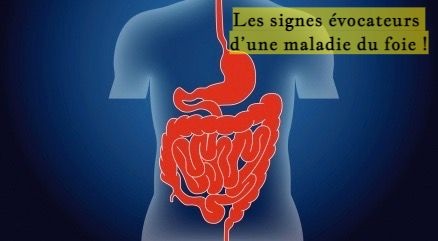 Les signes évocateurs d’une maladie du foie !