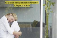 Le magnésium est un minéral indispensable au bon fonctionnement du corps humain. Présent dans presque toutes les cellules du corps.