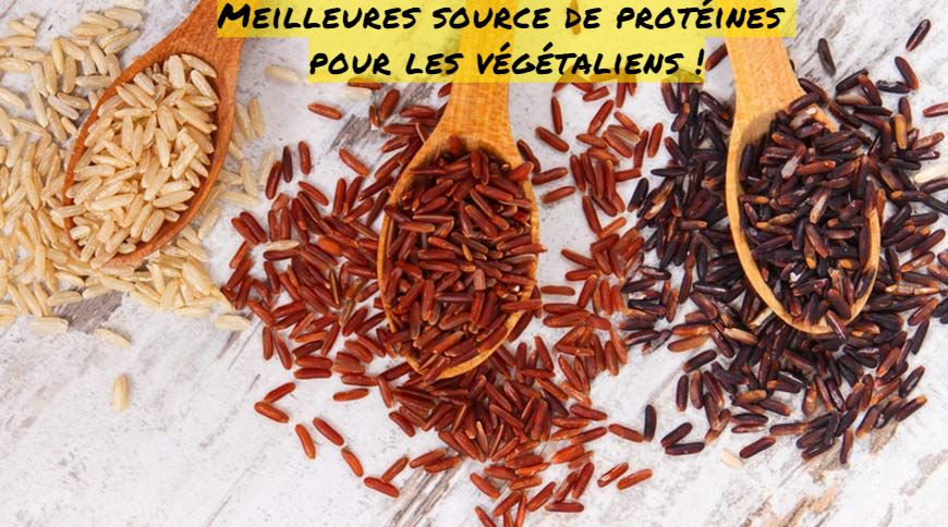 Meilleures source de protéines pour les végétaliens !