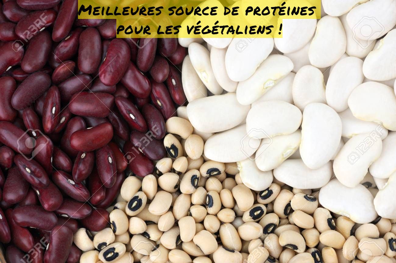 Meilleures source de protéines pour les végétaliens !