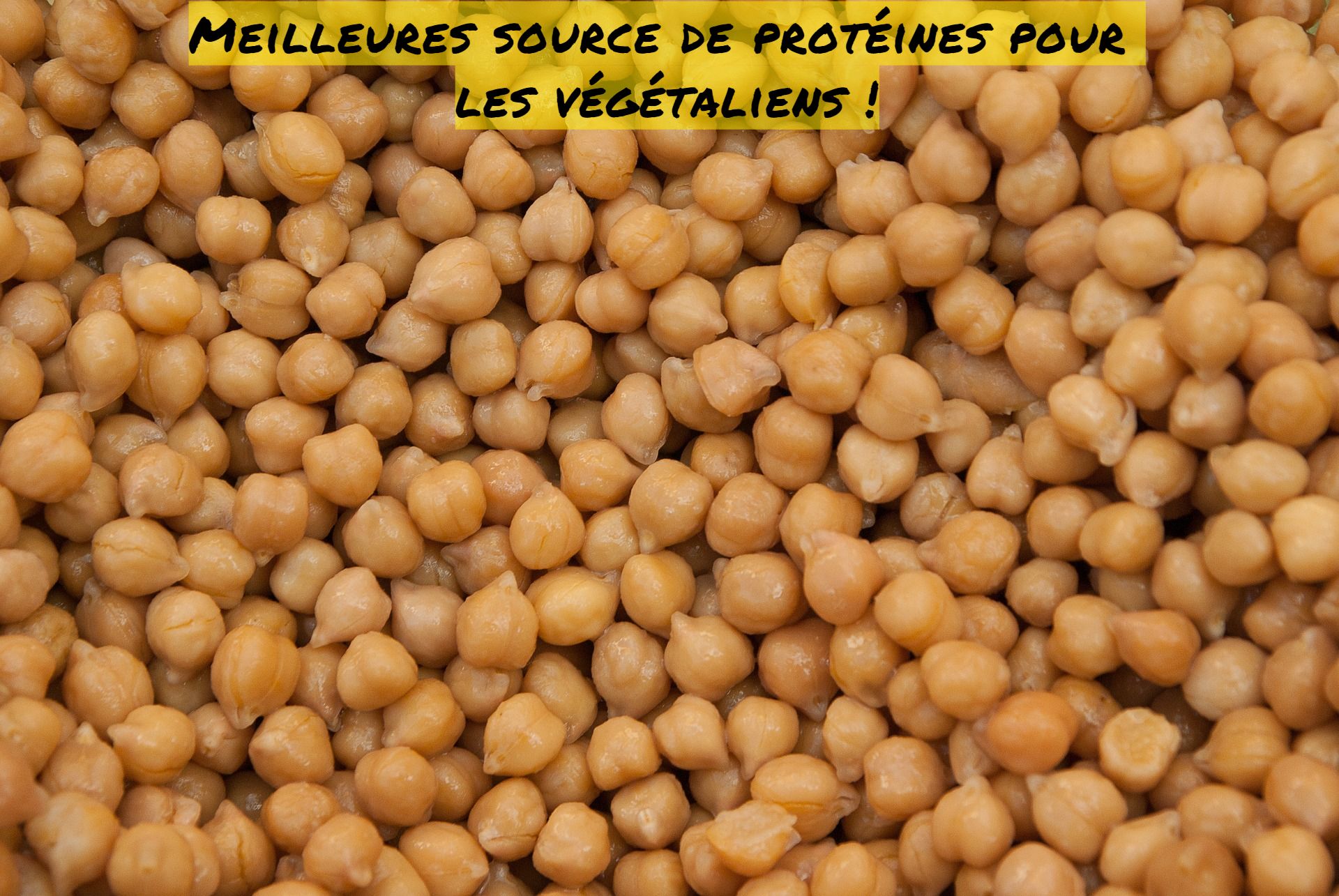 Meilleures source de protéines pour les végétaliens !