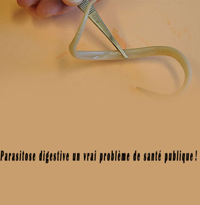 Parasitose digestive un vrai problème de santé publique ! Parasitose digestive un vrai problème de santé publique !
