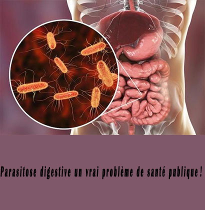 Parasitose digestive un vrai problème de santé publique ! Parasitose digestive un vrai problème de santé publique !