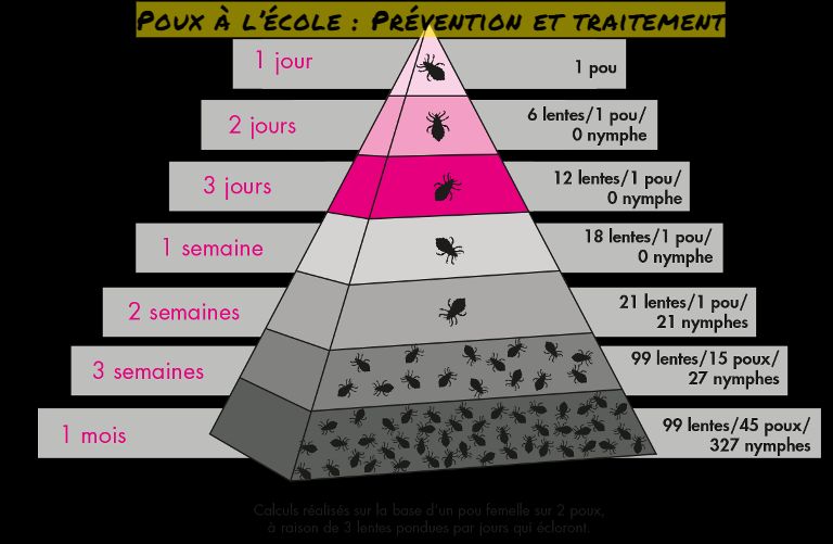 Poux à l’école : Prévention et traitement