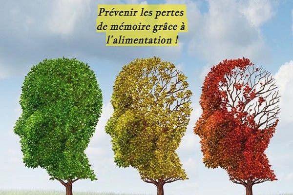 Prévenir les pertes de mémoire grâce à l’alimentation !