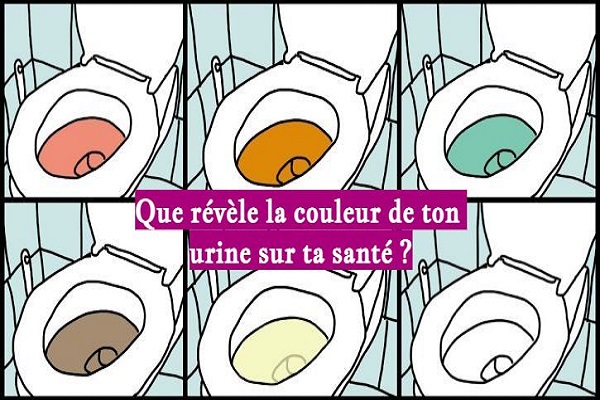 Que révèle la couleur de ton urine sur ta santé ?