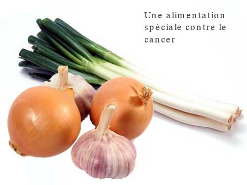 La famille des alliacés Une alimentation spéciale contre le cancer