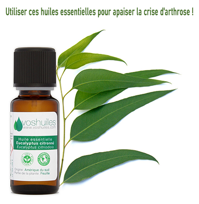 Utiliser ces huiles essentielles pour apaiser la crise d'arthrose !