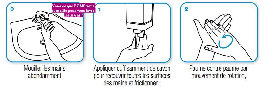 Voici ce que l’OMS vous conseille pour vous laver les mains Voici ce que l’OMS vous conseille pour vous laver les mains !