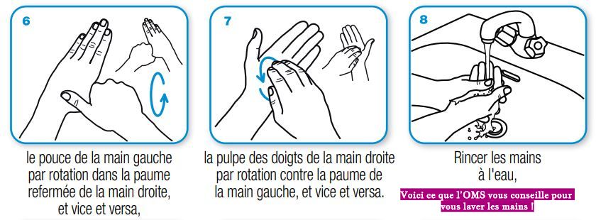Voici ce que l’OMS vous conseille pour vous laver les mains Voici ce que l’OMS vous conseille pour vous laver les mains !
