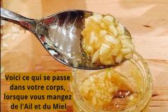 l'Ail et le Miel; Détoxifiants et régénérants, ces deux aliments combinés dans une recette naturelle redonnent de l’énergie et de la vitalité au corps comme à l’esprit.