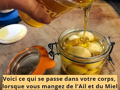 Voici ce qui se passe dans votre corps, lorsque vous mangez de l'Ail et du Miel 