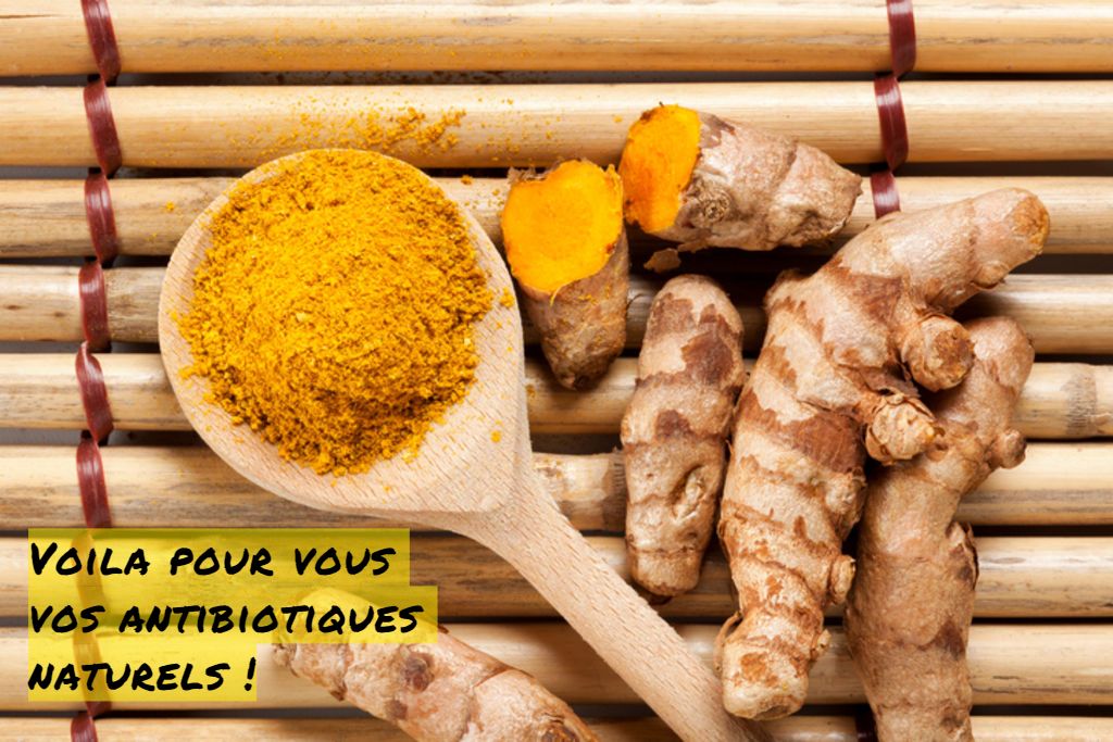 Les antibiotiques naturels Voila pour vous vos antibiotiques naturels
