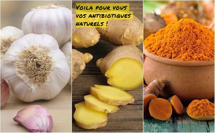 Les antibiotiques naturels Voila pour vous vos antibiotiques naturels