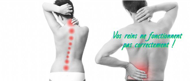 Les maux de dos Vos reins ne fonctionnent pas correctement