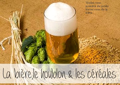 Voulez-vous prendre du poids buvez vous de la bière Voulez-vous prendre du poids buvez-vous de la bière!