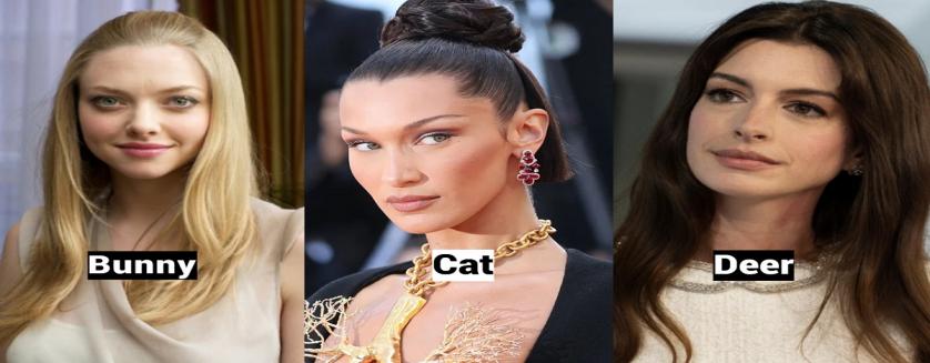 What type of pretty are you ?