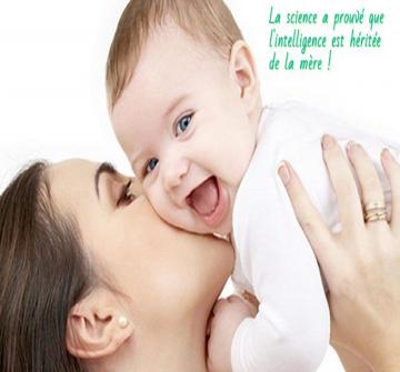 les capacités cognitives se trouvent sur le chromosome X.Cela signifie que les gènes de la mère contiennent plus d'informations sur les capacités mentales.