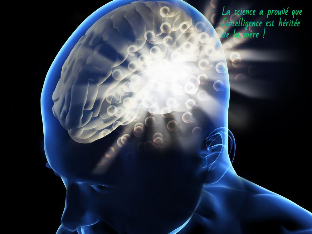 La science a prouvé que l'intelligence est héritée de la mère