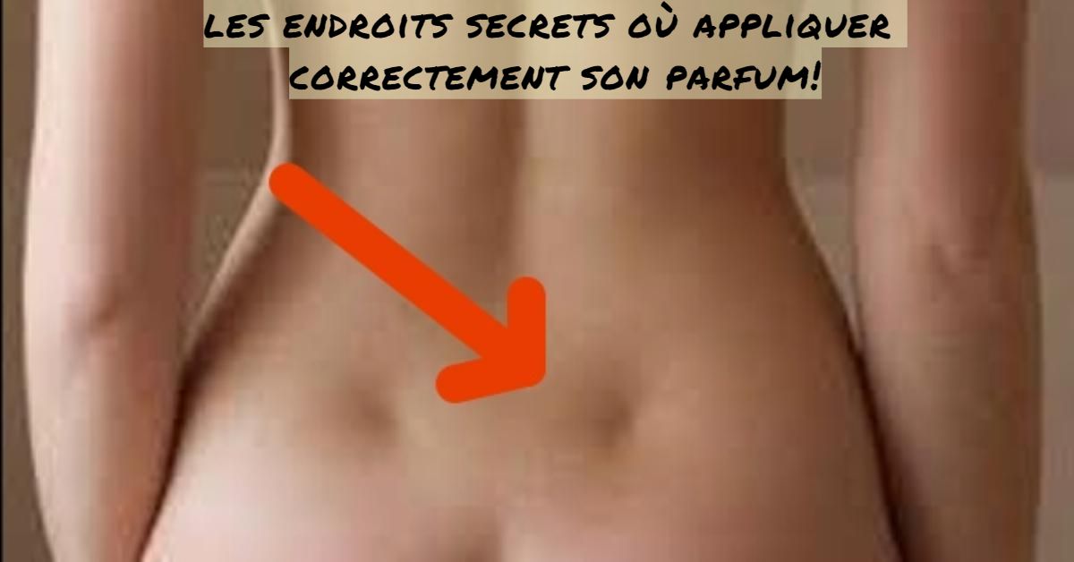 Le Bas du Dos Les endroits secrets où appliquer correctement son parfum!