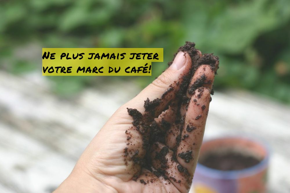 Ne plus jamais jeter votre marc du café Ne plus jamais jeter votre marc du café !